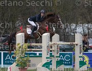 Clayton Mr Darcy TosTour 2013- S5 7897 : Arezzo Equestrian Centre, Clayton Joseph, Mr Darcy, Toscana Tour 2013, foto di Stefano Secchi ©